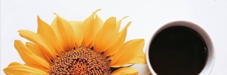 rahaf_rr14's profile banner image