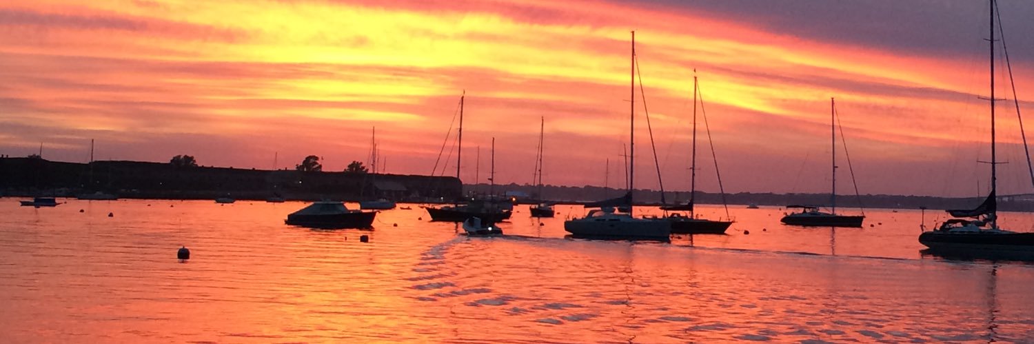 🌻Ellen🌻 banner