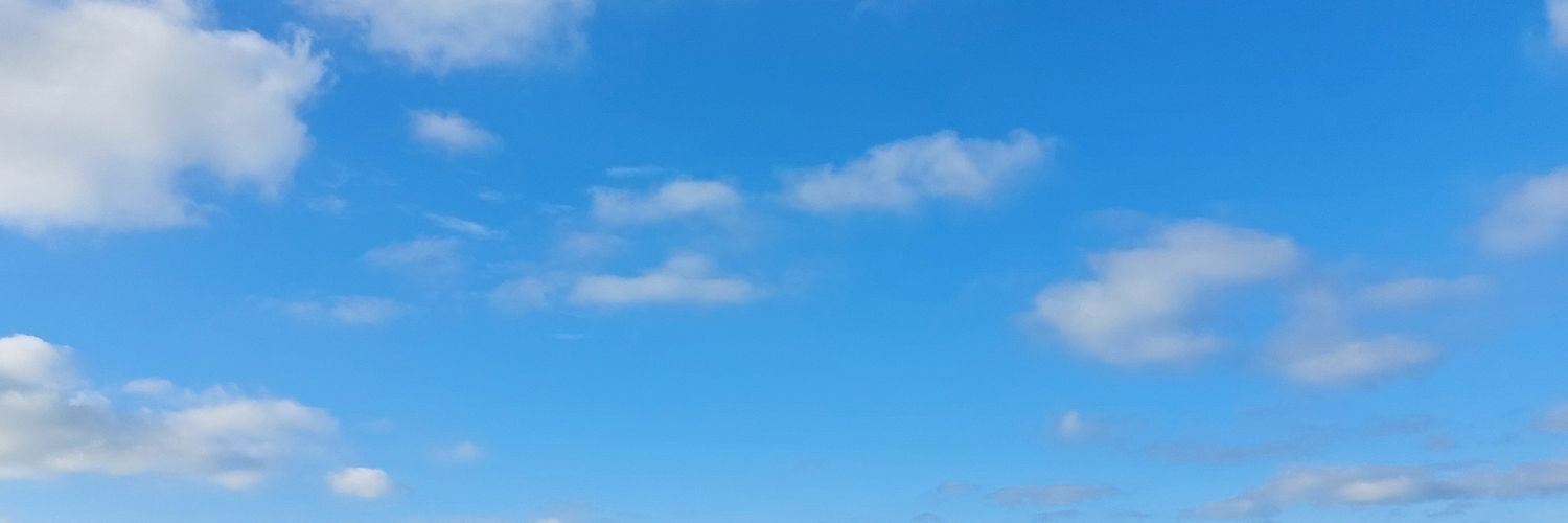 annebardy_'s profile banner image