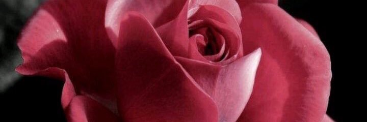 SOoaranah's profile banner image