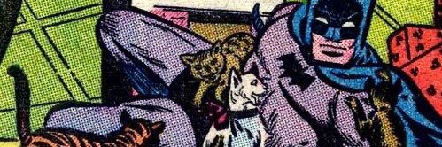 sunnsunnr's profile banner image