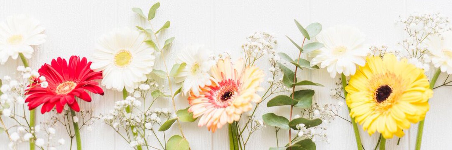 HS2_tsuma6's profile banner image