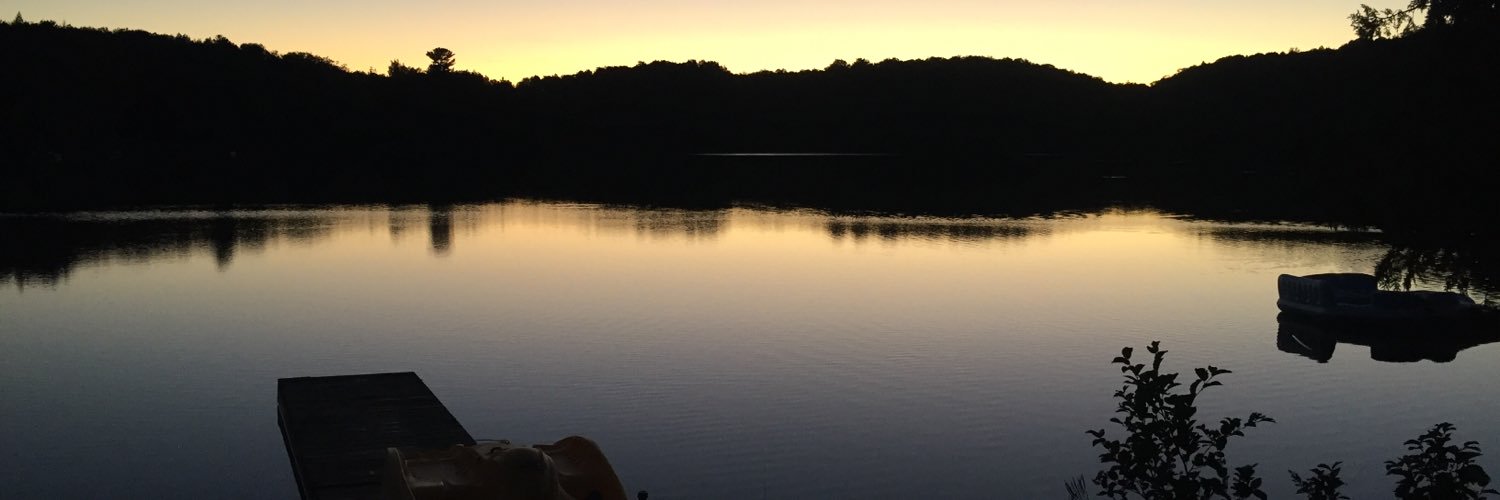 Pascale Desjardins banner