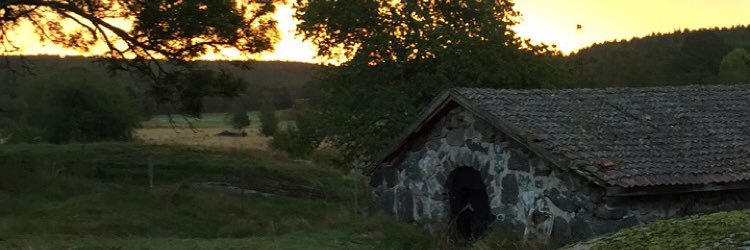 VilleDanielsson's profile banner image