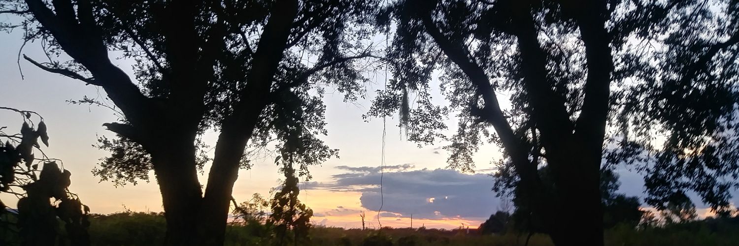 tranquilitee_'s profile banner image