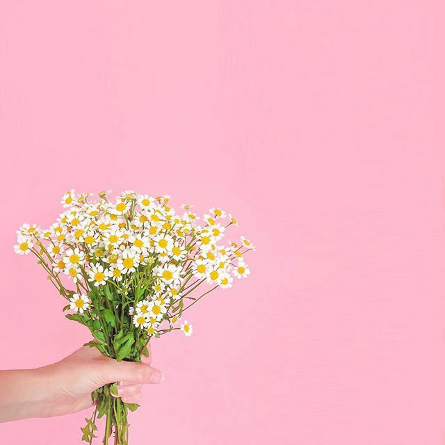 rsnikartika's profile banner image