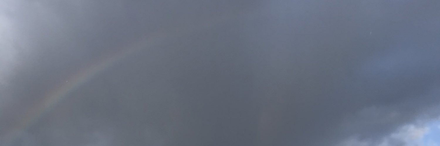 TBJ banner