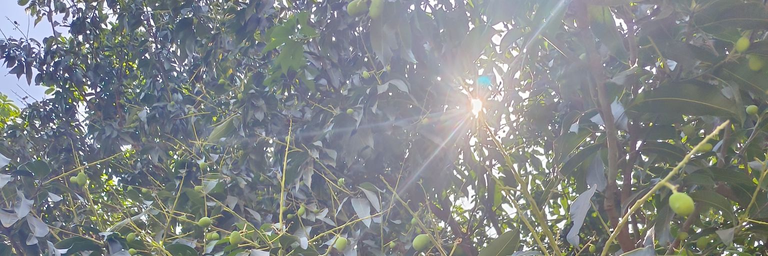 misra_aman's profile banner image