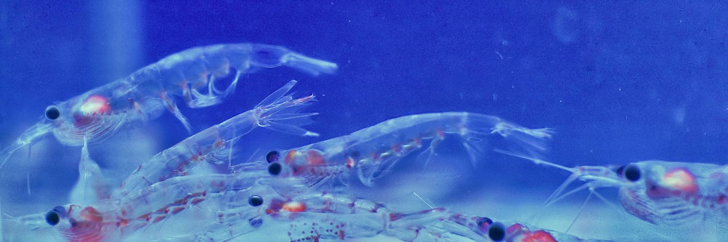 Andreas Wallberg banner