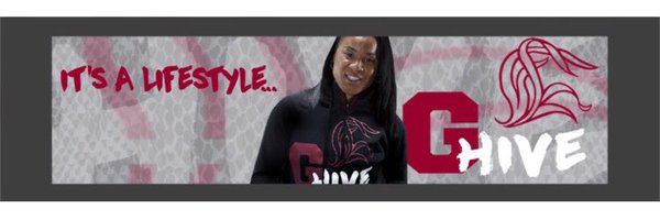 pawleys10 Profile Banner