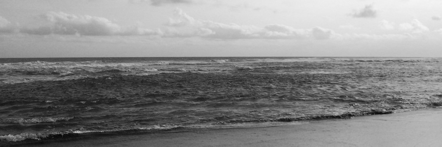 gigustavia's profile banner image
