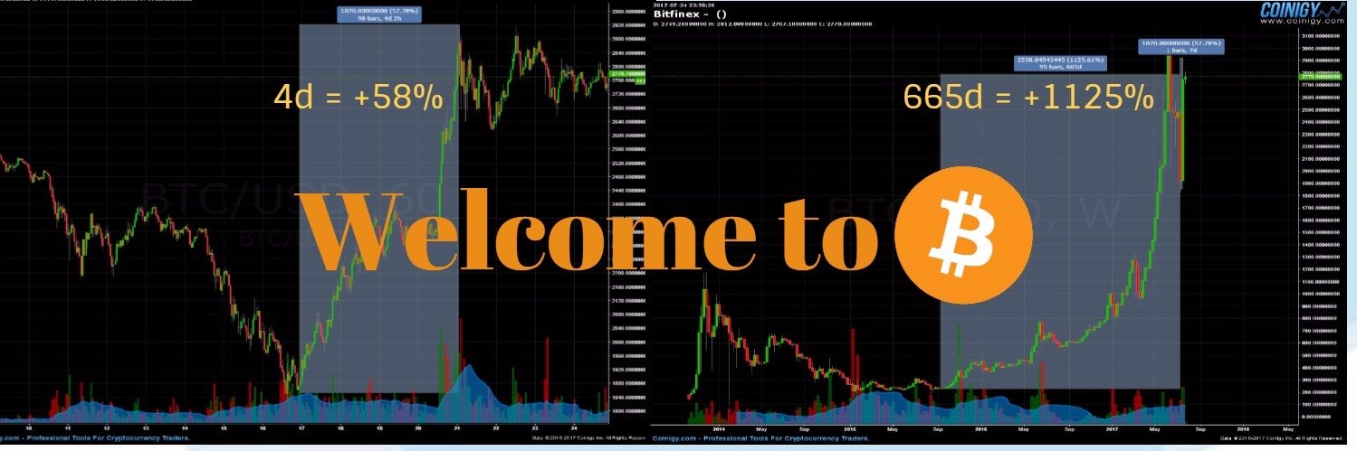 CryptoMulde's profile banner image