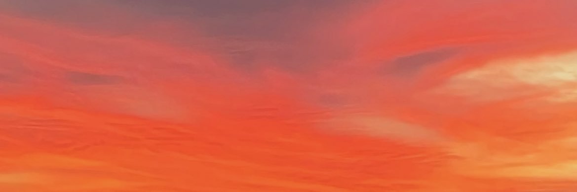 Karen Mora banner