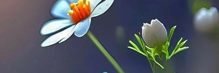 veroo32's profile banner image