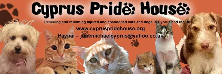 Cyp_Pride_House's profile banner image
