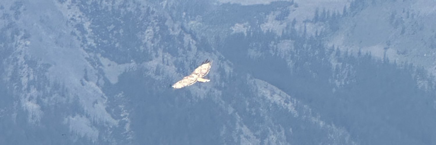 David Higgins banner