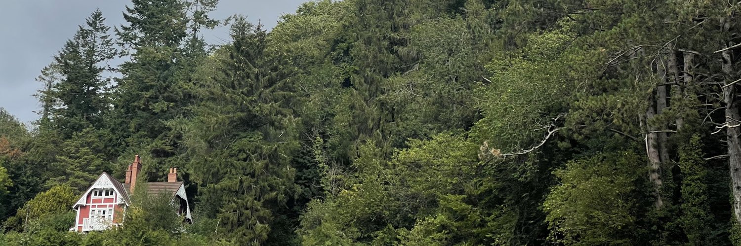 finn_browne's profile banner image