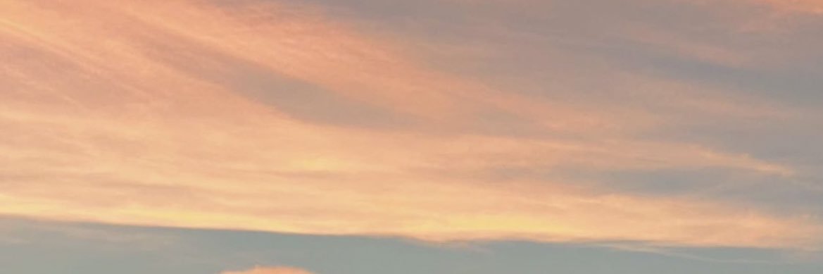 styleshines_'s profile banner image
