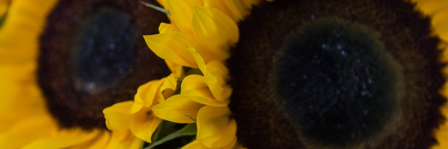 Jaydeebubz5704's profile banner image