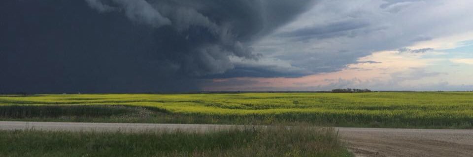 KohlerAart's profile banner image