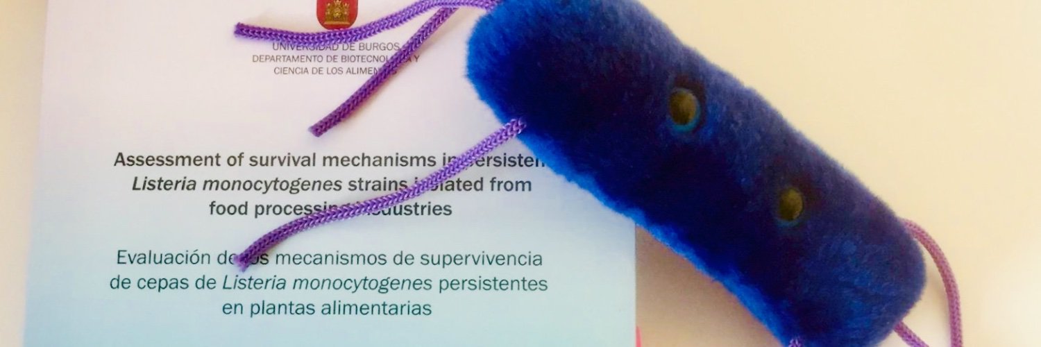 Beatriz  Manso banner