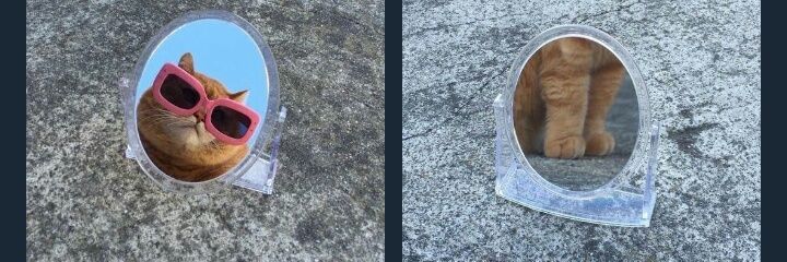 Eva-Luna Tholance banner