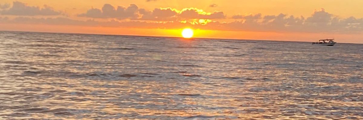 RodooPool's profile banner image