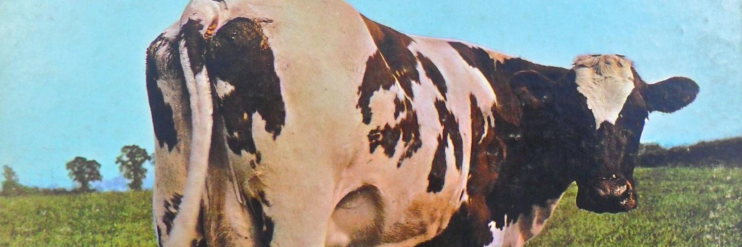 Floyds_Lunatic's profile banner image