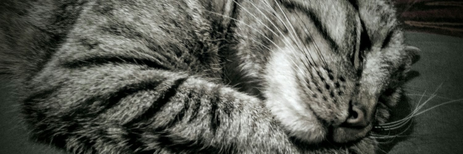AXerner's profile banner image