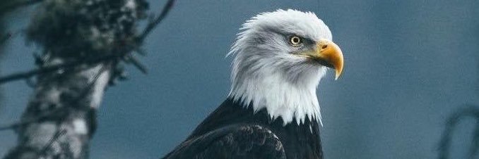 canbilgen's profile banner image