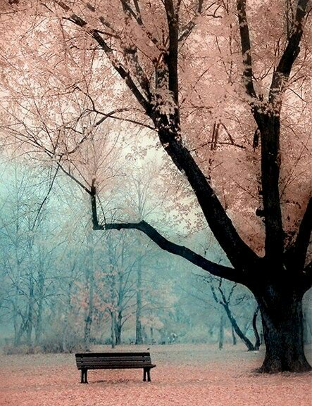 Tety_Indah's profile banner image
