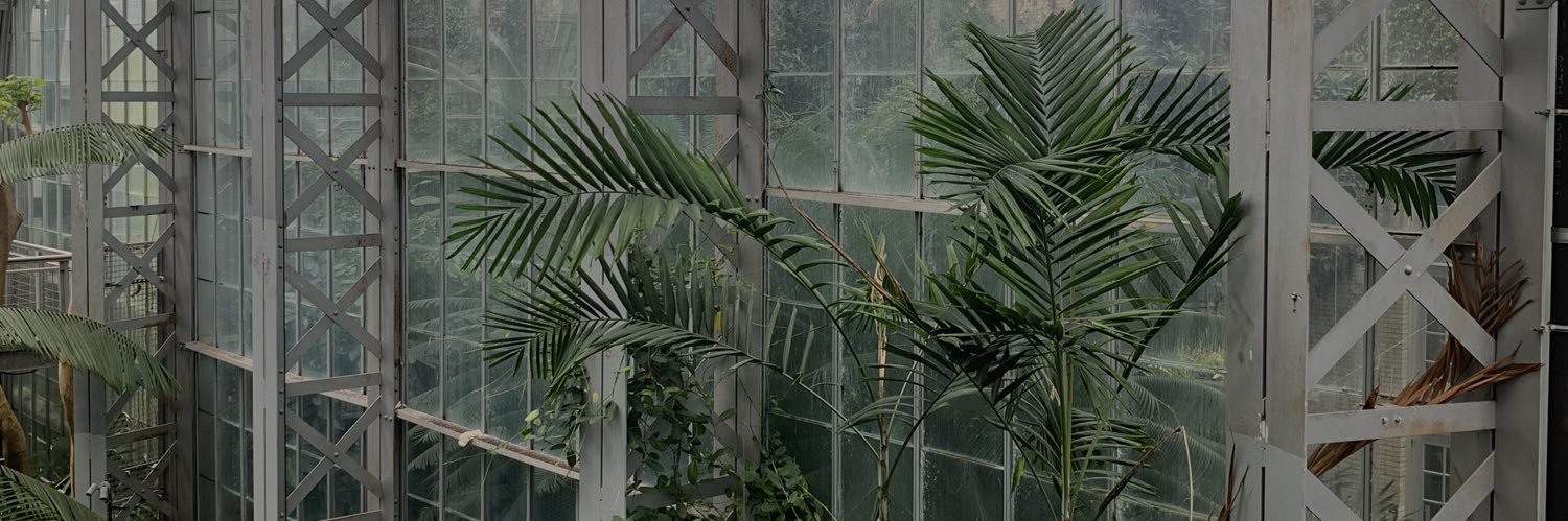 350px_'s profile banner image