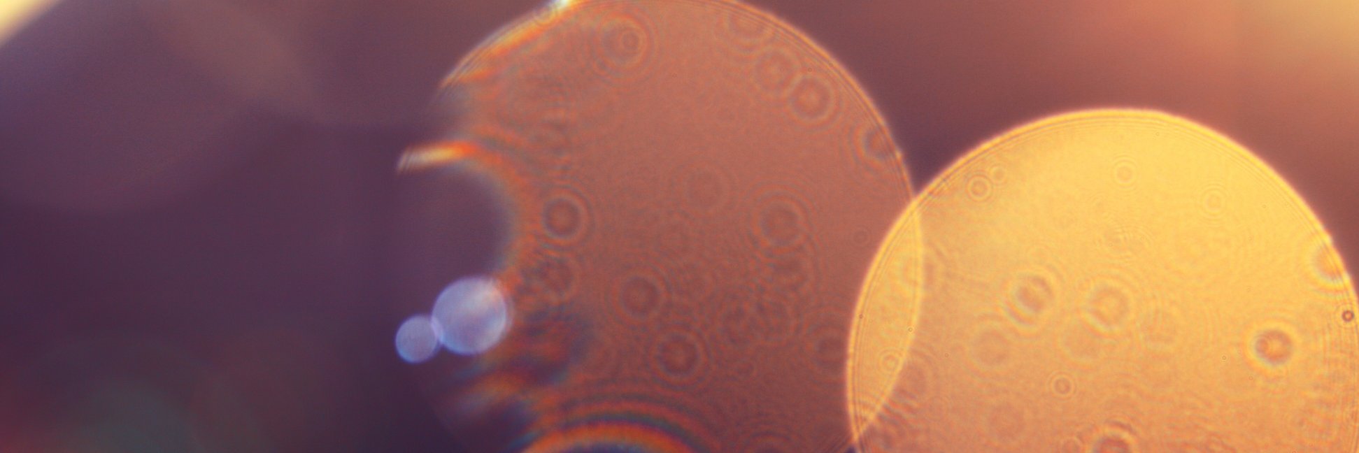 JoshTRF's profile banner image