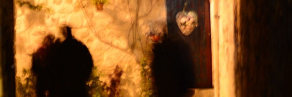bafhakan's profile banner image