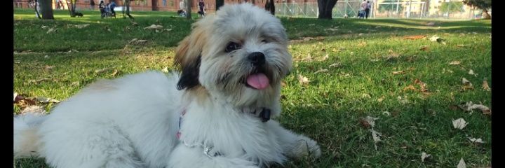 _DavidGuerrero_'s profile banner image