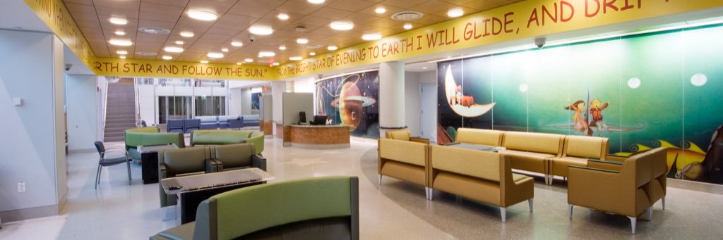 MSCH ED banner