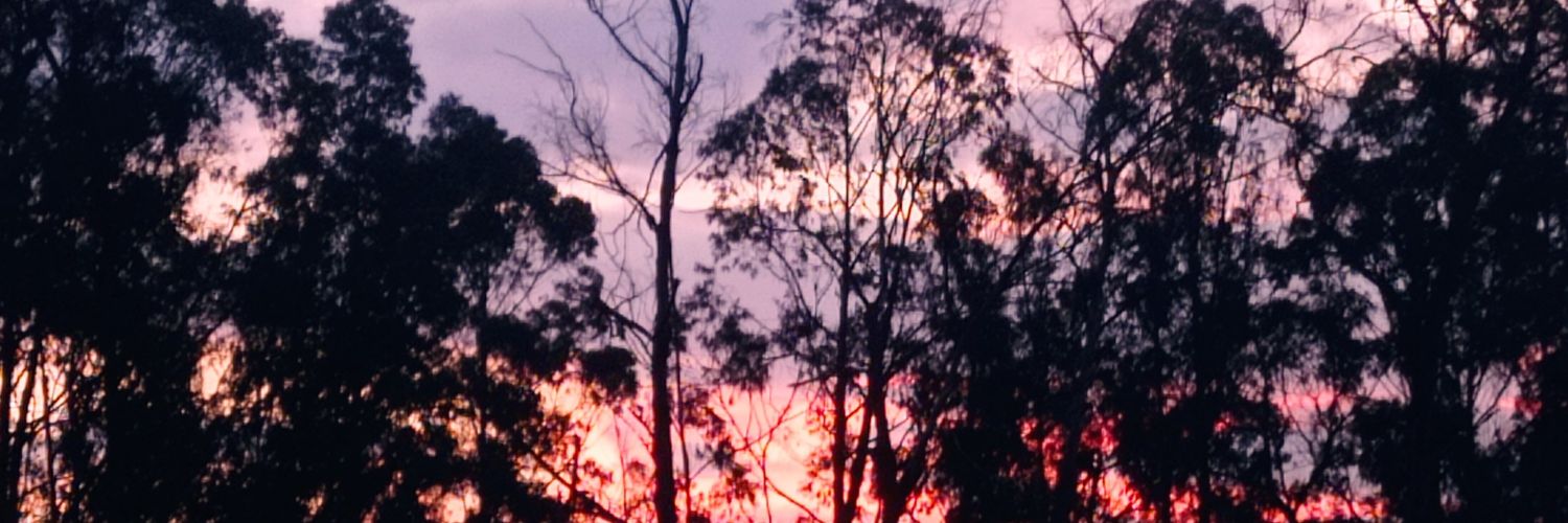 Aleeeeejaaaaa's profile banner image