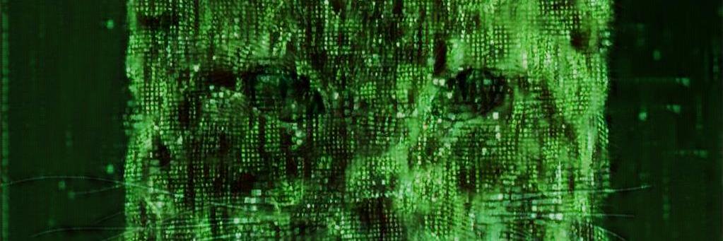 ai_startups's profile banner image