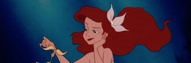 Ariescaleira's profile banner image