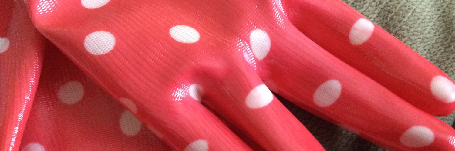 @DeviJustice.bsky.social banner