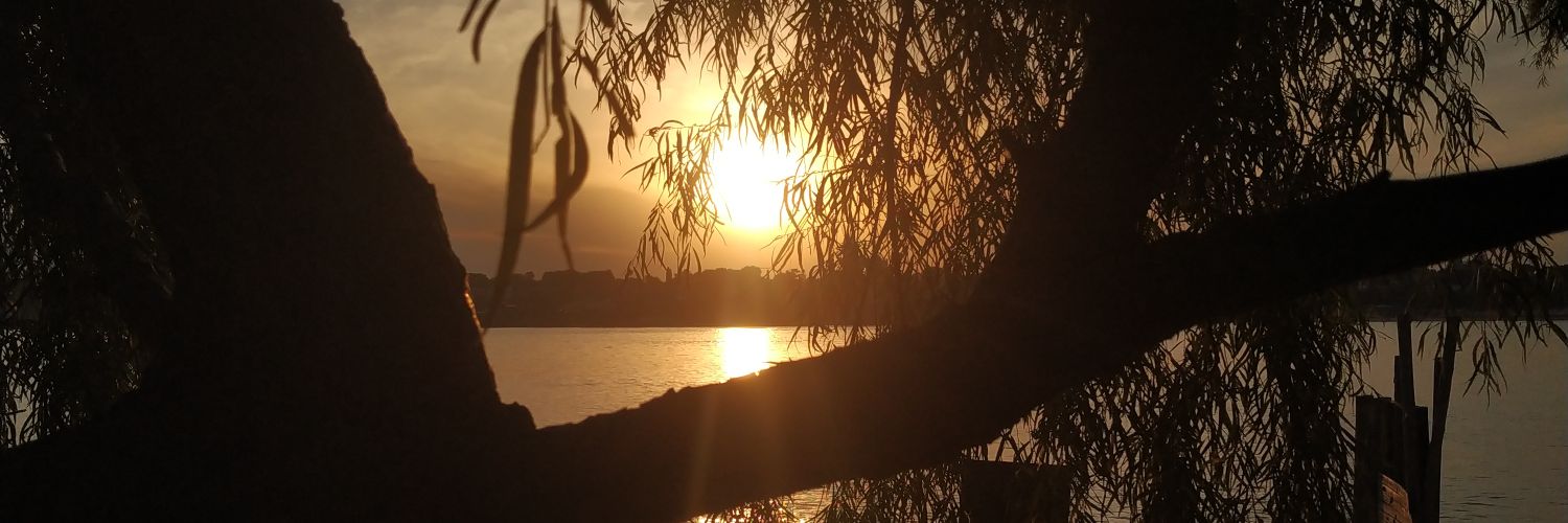 magui_laborde's profile banner image