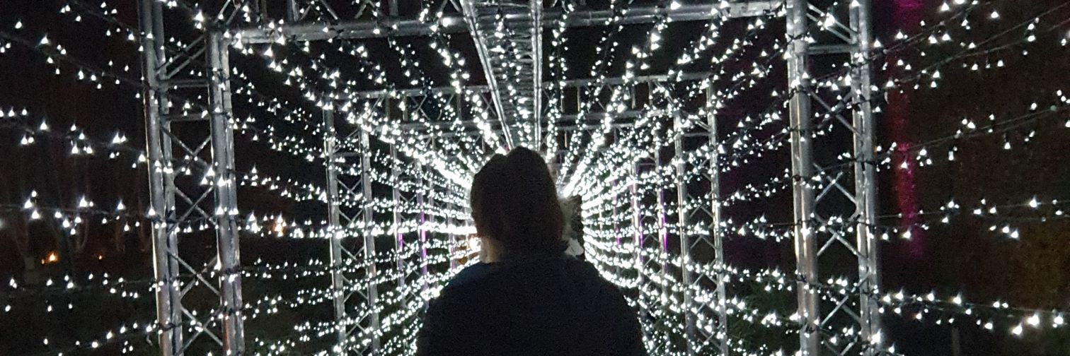 Grace Herrity (she/her) banner