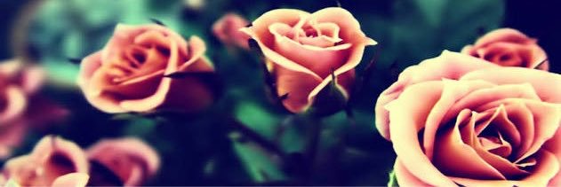 Yaneth Molina banner