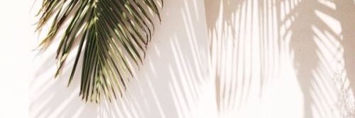 Pleng Kavita banner