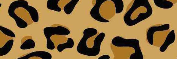 katelyntucker1's profile banner image