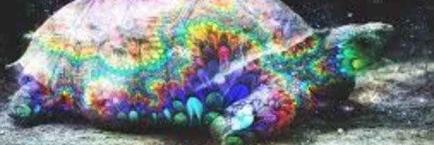 Courtnie_Atkins's profile banner image