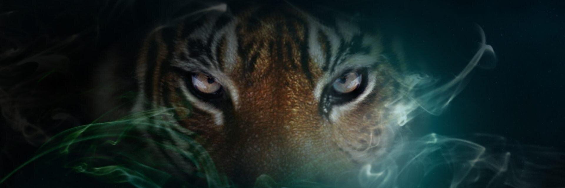 Aragaomarcos's profile banner image