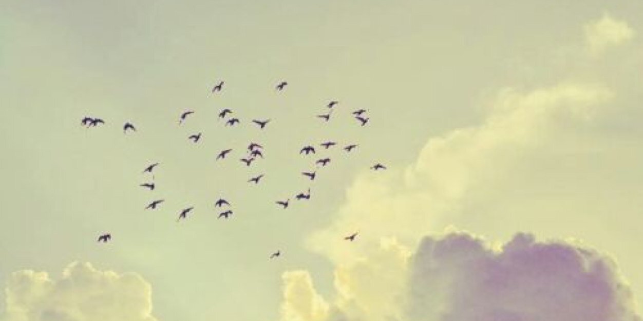 foza92's profile banner image