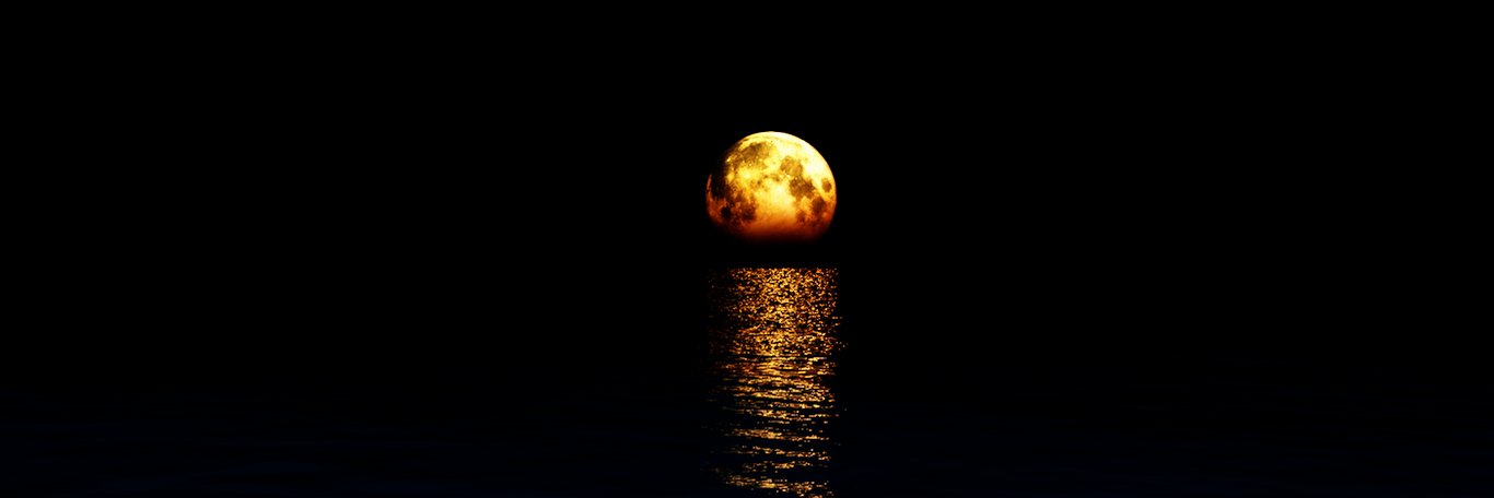 SavannahP_PCS's profile banner image