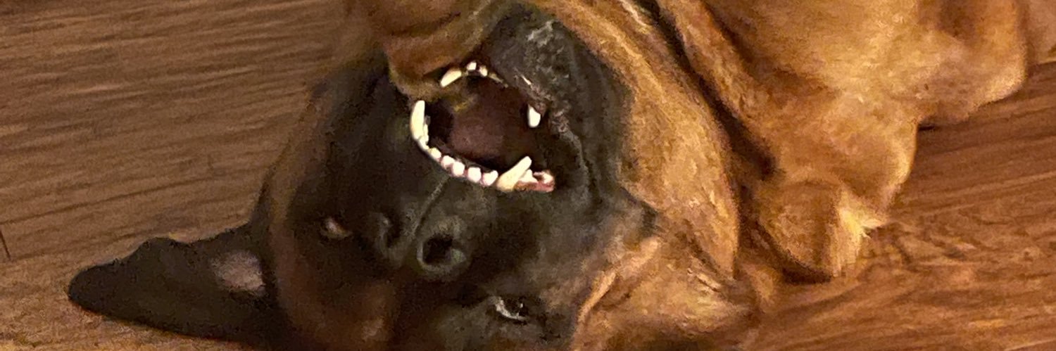 itsAmandaMartin's profile banner image